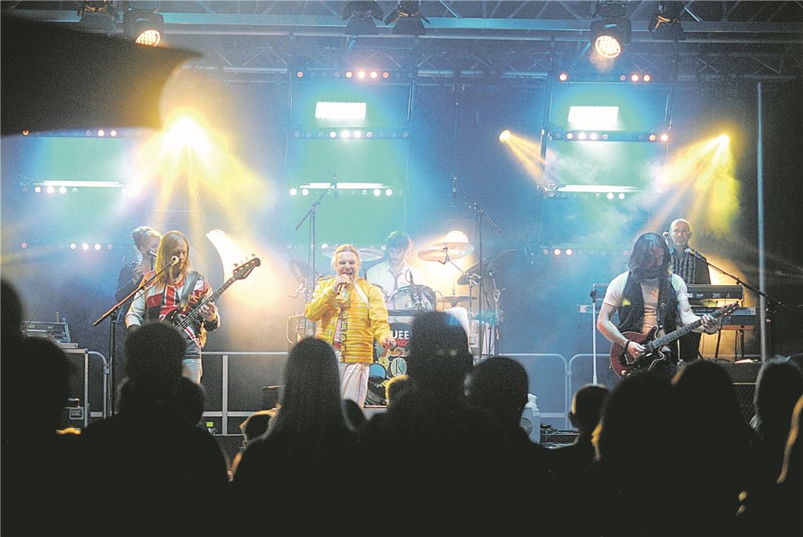 Entscheidung über „Enzival“ vorerst vertagt Die Band „The Queen Kings“ beim Livemusik-Festival „Enzival“ 2018. Wird es auch 2021 solche Bilder zu sehen geben? Archivfoto: Stahlfeld