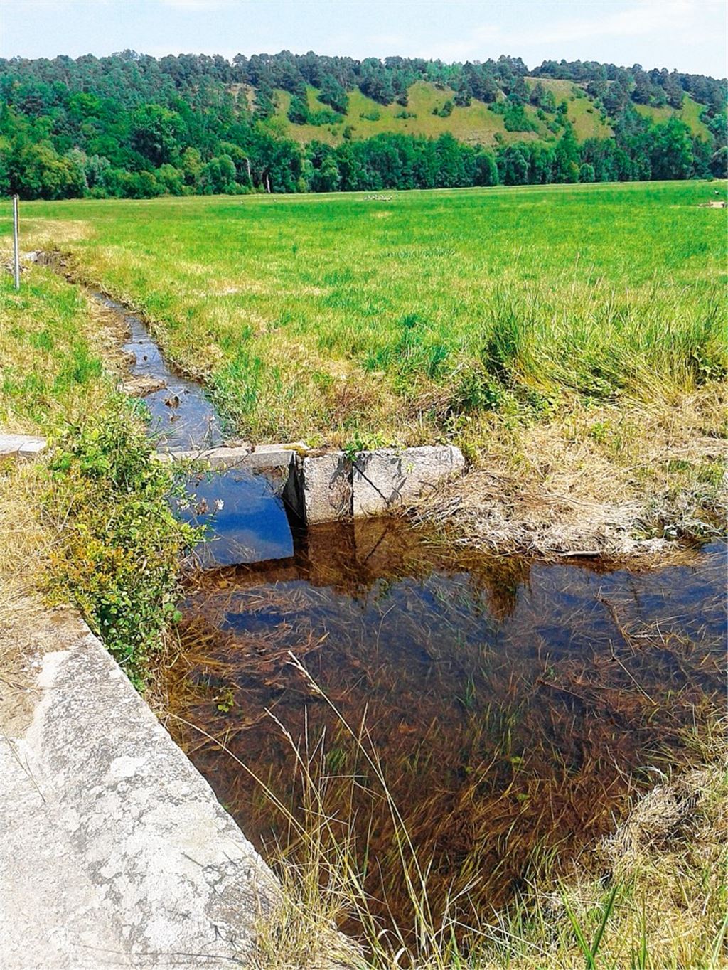 Die Bewässerung im Enztal ...