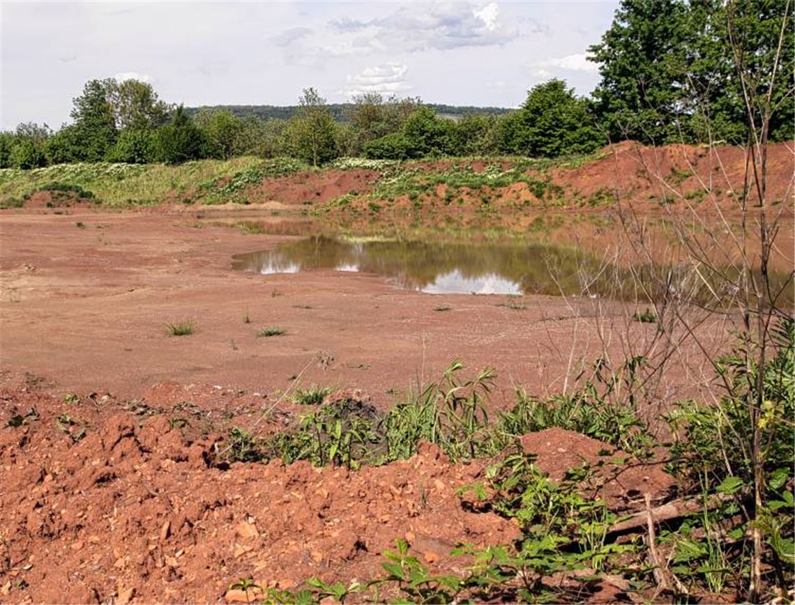 Die Böschung im Hintergrund soll laut Kompromiss erhalten bleiben ...