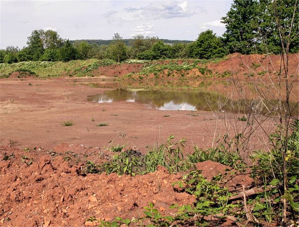 Die Böschung im Hintergrund soll laut Kompromiss erhalten bleiben ...