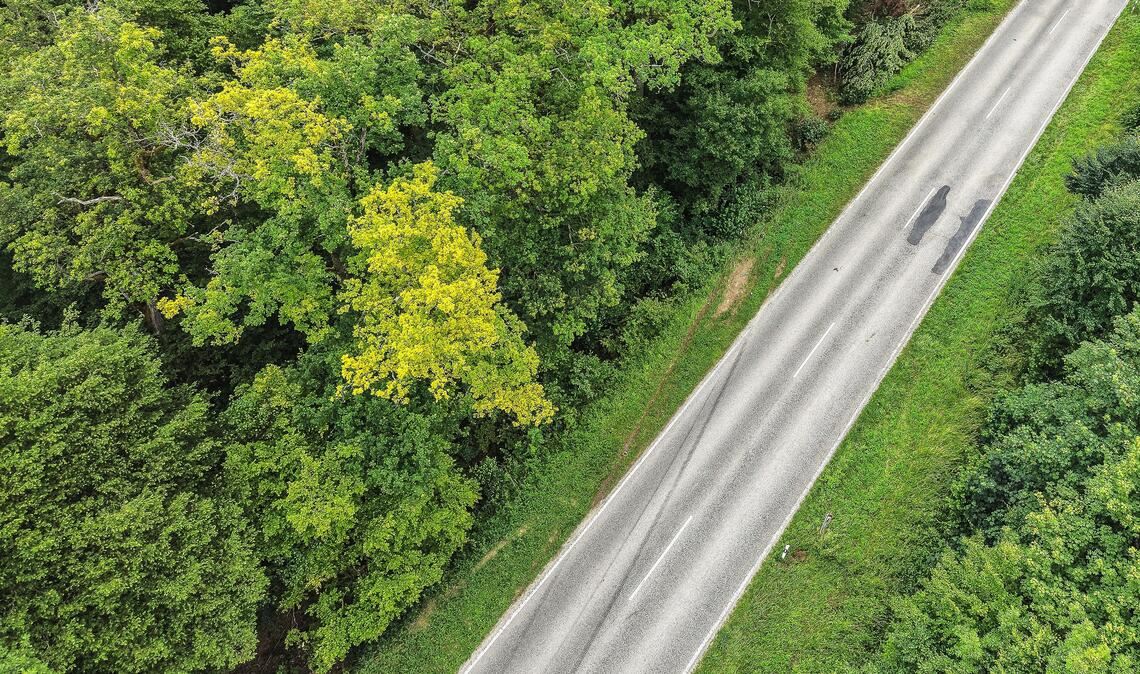 Die Bremsspuren am unteren Bildrand zeigen, wo der Mercedes von der Fahrbahn abgekommen ist. Um den Wagen am Abhang zu bergen, wurden drei Bäume gefällt. Foto: Schüller