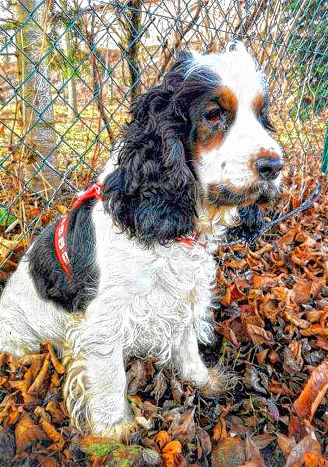 Von beendeten und neuen Beziehungen