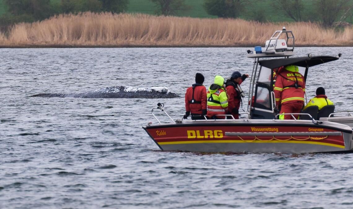 Die DLRG will am Mittwoch aus Kirchdorf auf Poel abziehen.