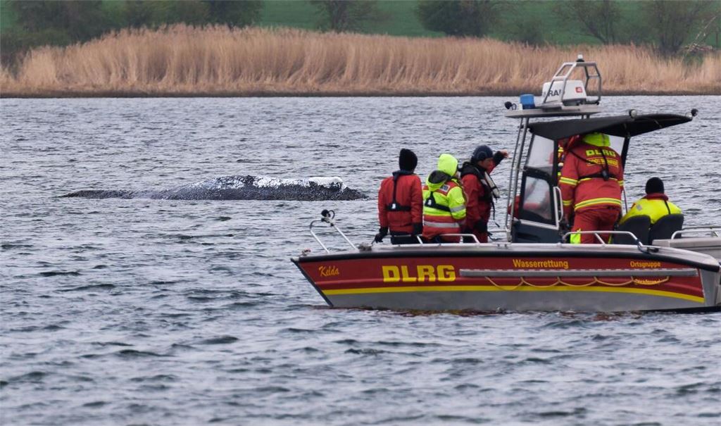 Die DLRG will am Mittwoch aus Kirchdorf auf Poel abziehen.