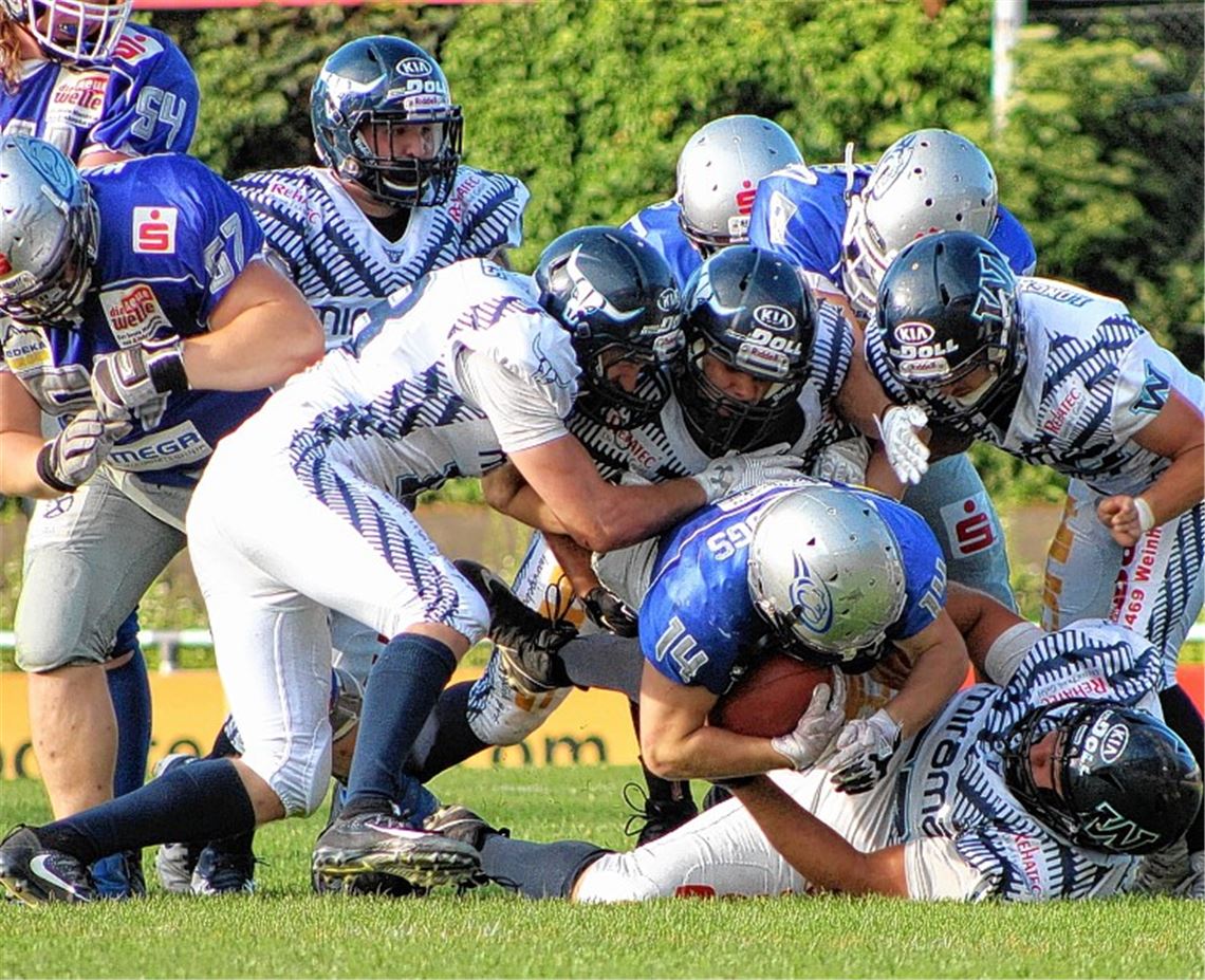 Wilddogs gewinnen viertes Heimspiel