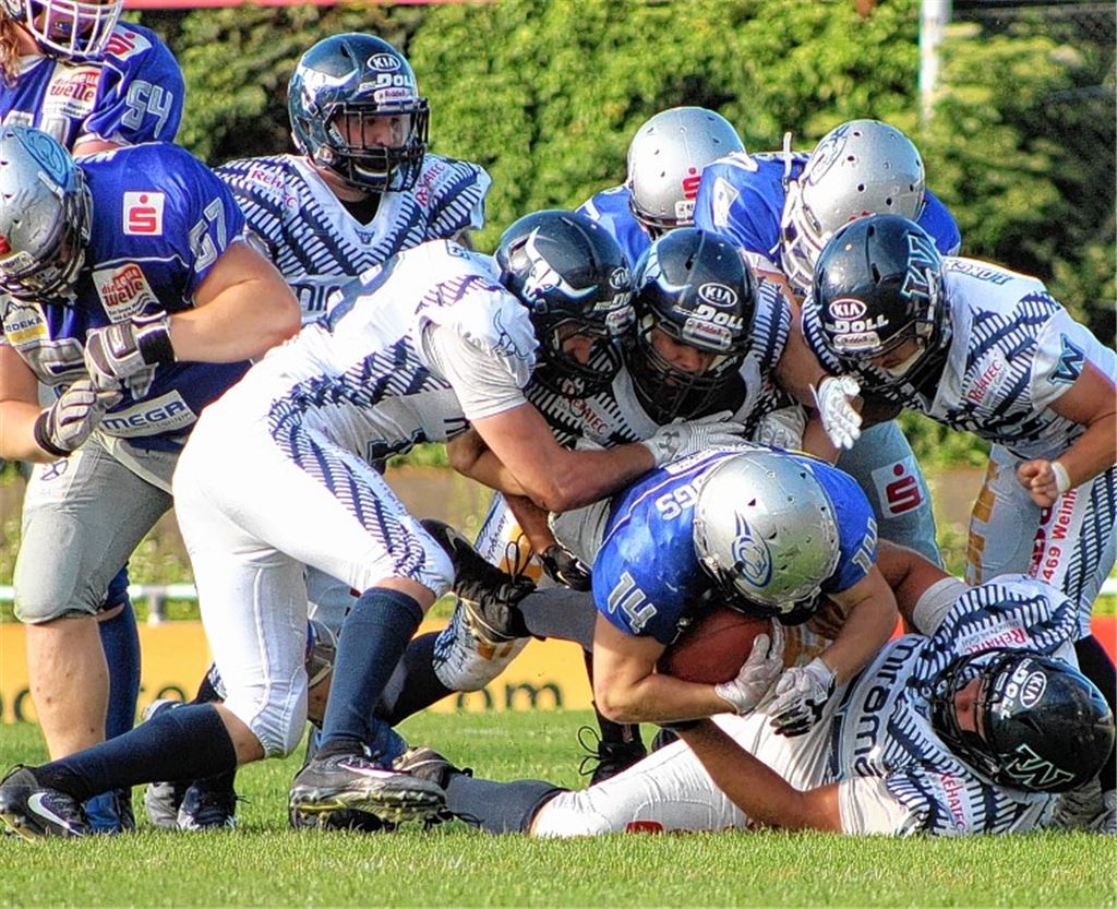 Wilddogs gewinnen viertes Heimspiel