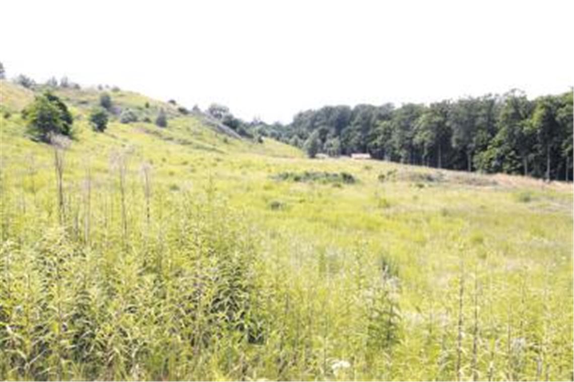 Die Deponie Maulbronn  große Teile befinden sich auf der ehemaligen Markung Zaisersweiher  hat noch freie Flächen, wie den so genannten Abschnitt Nummer fünf.
Foto: Franz