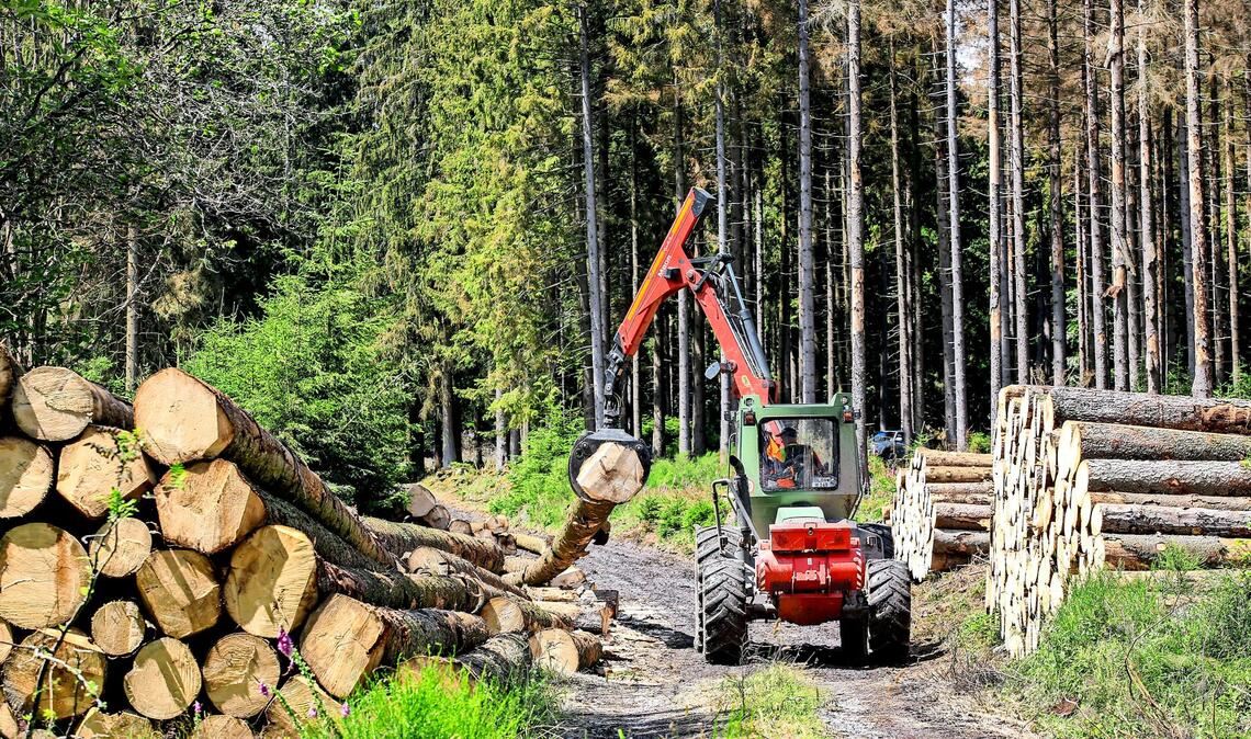 Sinnvoller Umweltschutz oder bloßes Bürokratiemonster? Die Dokumentationspflichten der EU im Rahmen des Green Deal treibt die Waldbauern auf die Palme.