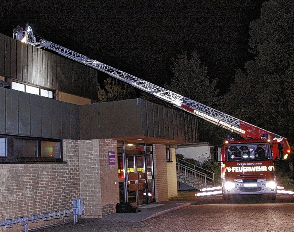 Die Drehleiter der Feuerwehr Mühlacker im Einsatz. Foto: Süddeutsche Mediengesellschaft