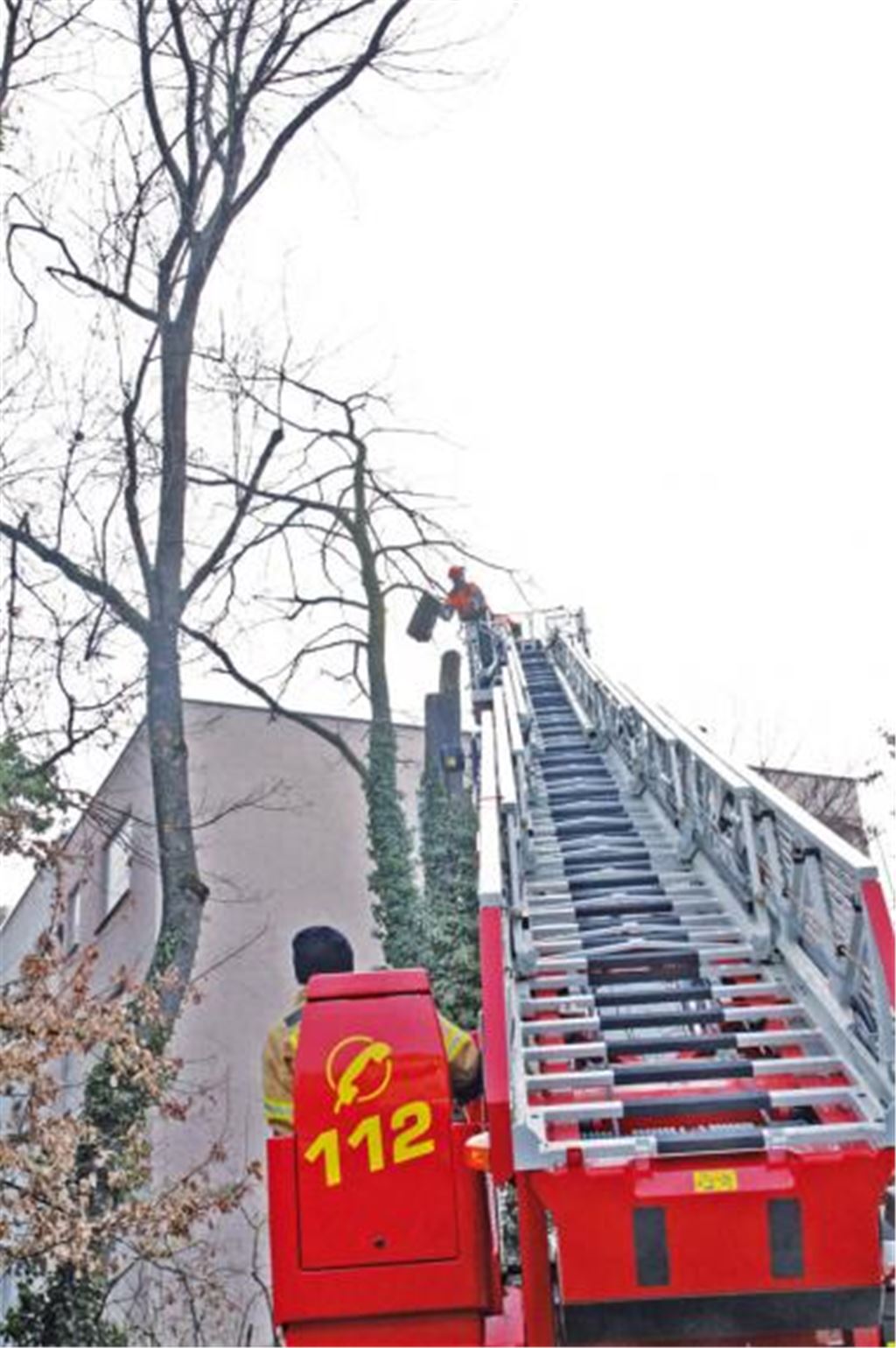 Die Drehleiter der Feuerwehr befördert die Arbeiter in Richtung Baumwipfel. Foto: Goertz