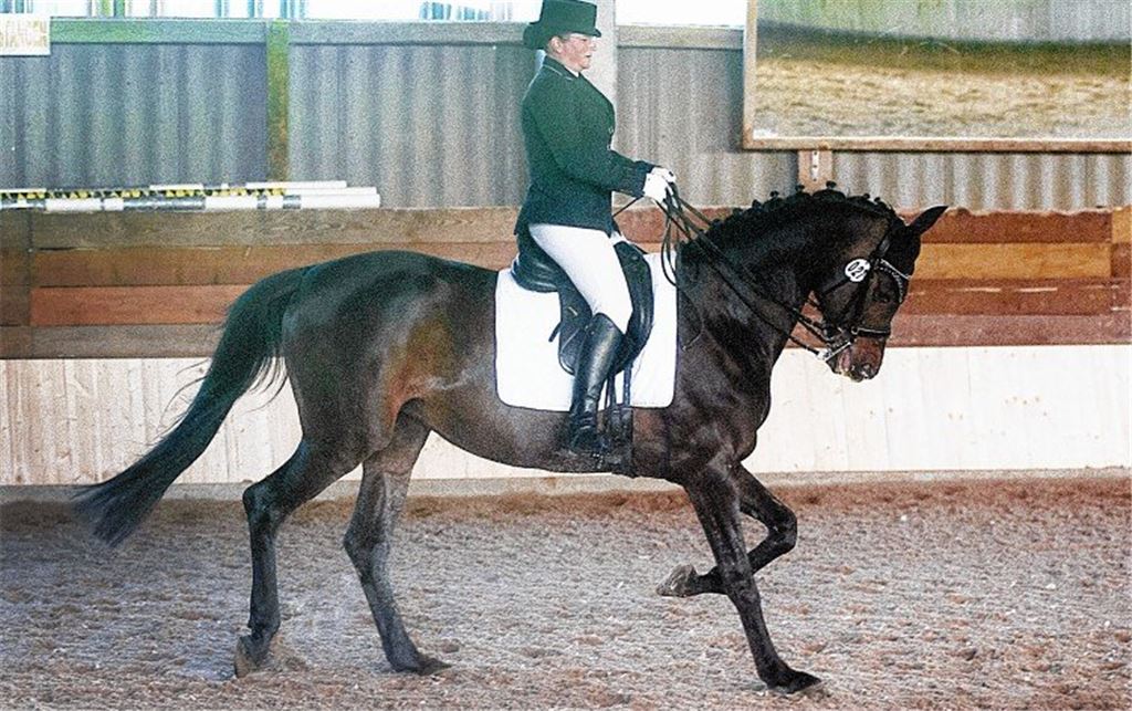 Das Reiter-Gen liegt in der Familie