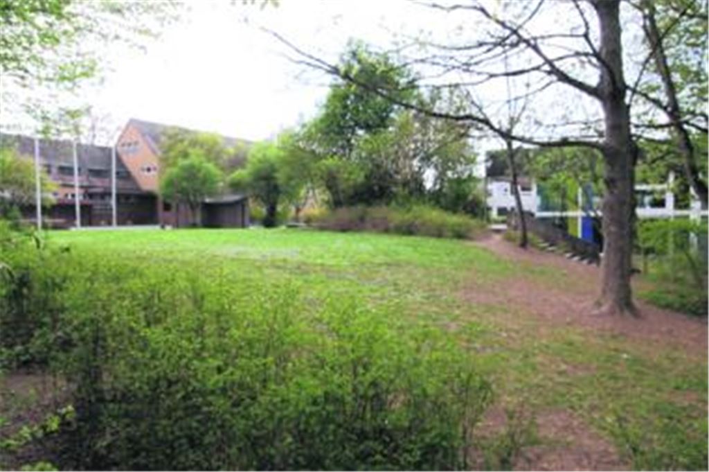 Die Entscheidung ist gefallen: Auf der Wiese zwischen Schule, Kindergarten und Cyriakuskirche soll das neue Heizkraftwerk gebaut werden. Foto: Franz