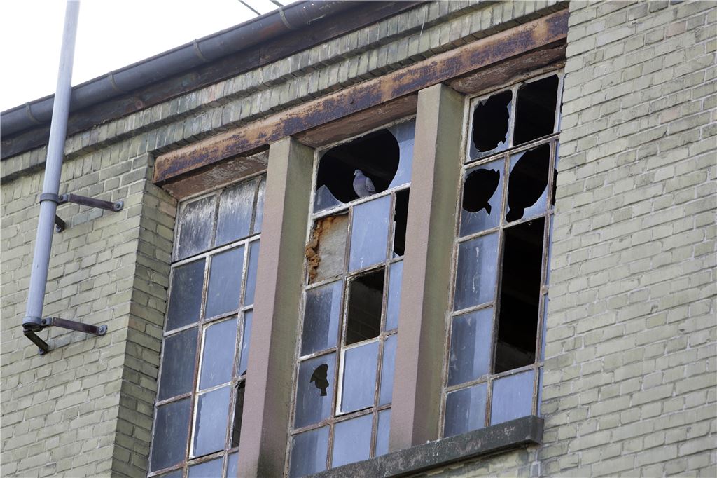 Die Enzberger sprechen von einem „Schandfleck“ am Stadtrand: Seit etlichen Jahren hat sich auf dem Areal der alten Lederfabrik wenig getan – jetzt steht das Grundstück zum Verkauf. Foto: Keller