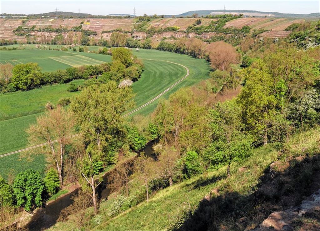 Enztal soll geschützt werden
