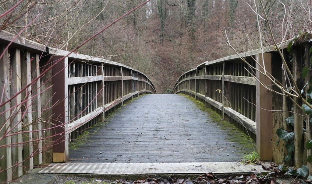 Die Erhaltung von Wegen – und dazu gehöre der seit April 2023 gesperrte Steg über die Enz – sei dem Stadtteil einst fest zugesagt worden, erinnert die ARGE. Foto: Archiv