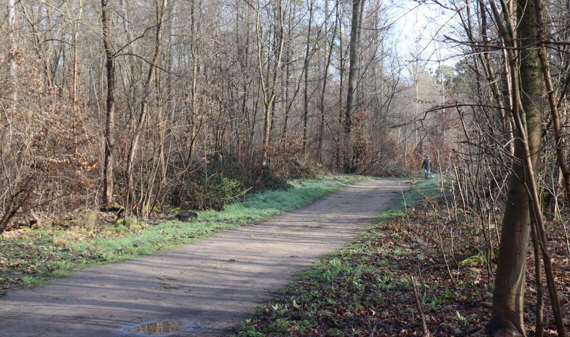 Die Ermittler haben erste Details nach dem Fund einer toten Frau in einem Wald bei Mannheim bekanntgegeben.