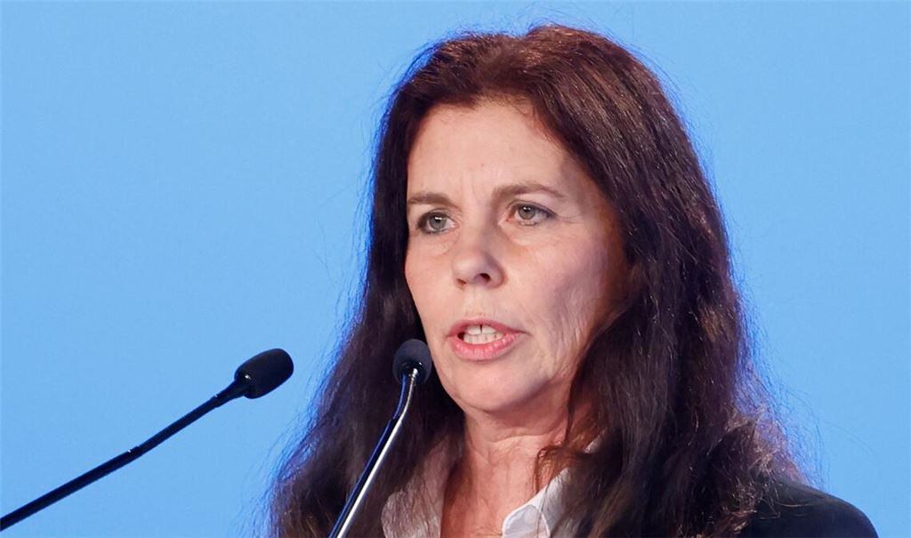 Die Europaabgeordnete Arndt hatte schwere Vorwürfe gegen die AfD-Spitze in Niedersachsen erhoben. (Archivbild)