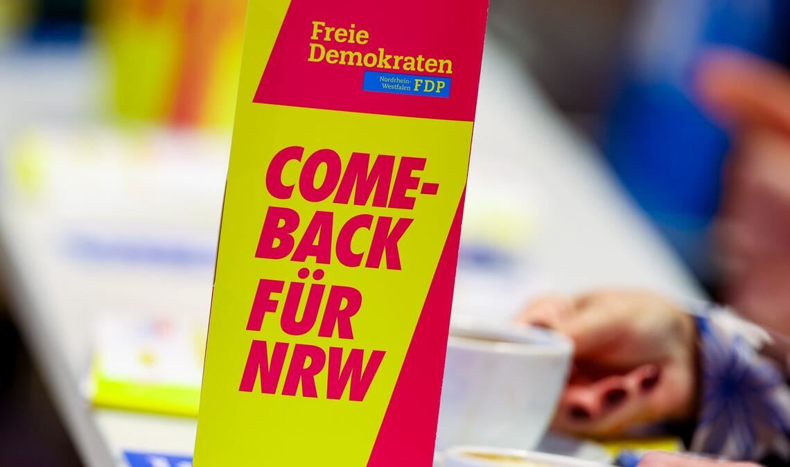 Die FDP kämpft um ihr politisches Überleben.