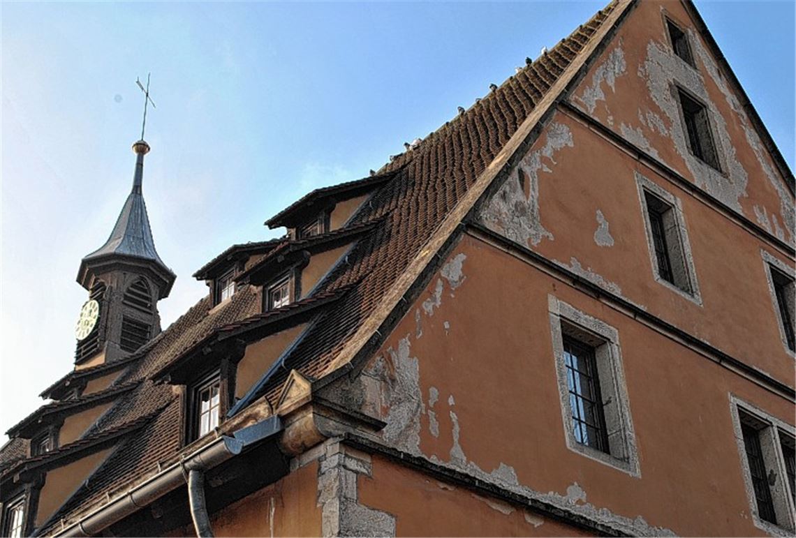 Die Fassade der Kelter, in der auch das Heimatmuseum der Stadt Mühlacker untergebracht ist, weist Schäden auf. Rechtes Bild: Museumsleiterin Adelheid Teschner. Fotos: Stahlfeld