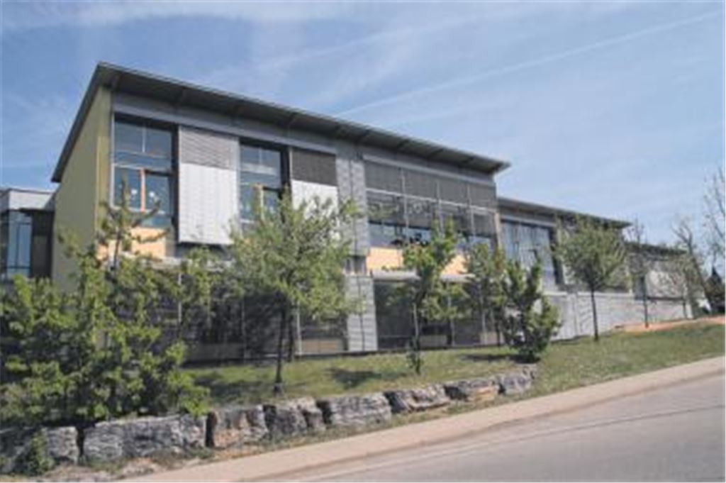 Die Fassade der Schiller-Grundschule muss erneuert werden. Die Stadtverwaltung will mit der Sanierung rasch beginnen. Foto: Sadler