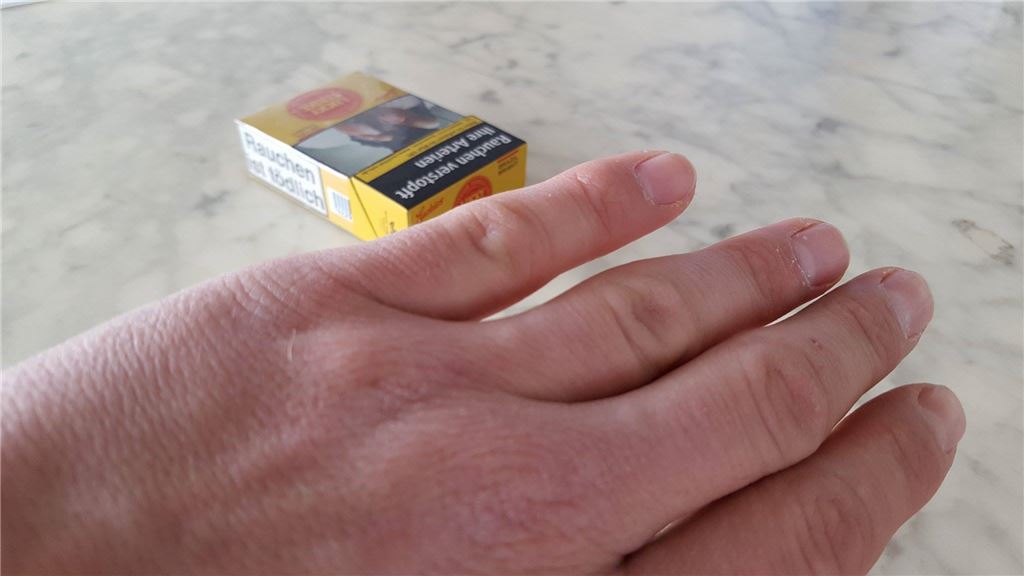 17101590_1406662629373393_308187688_o