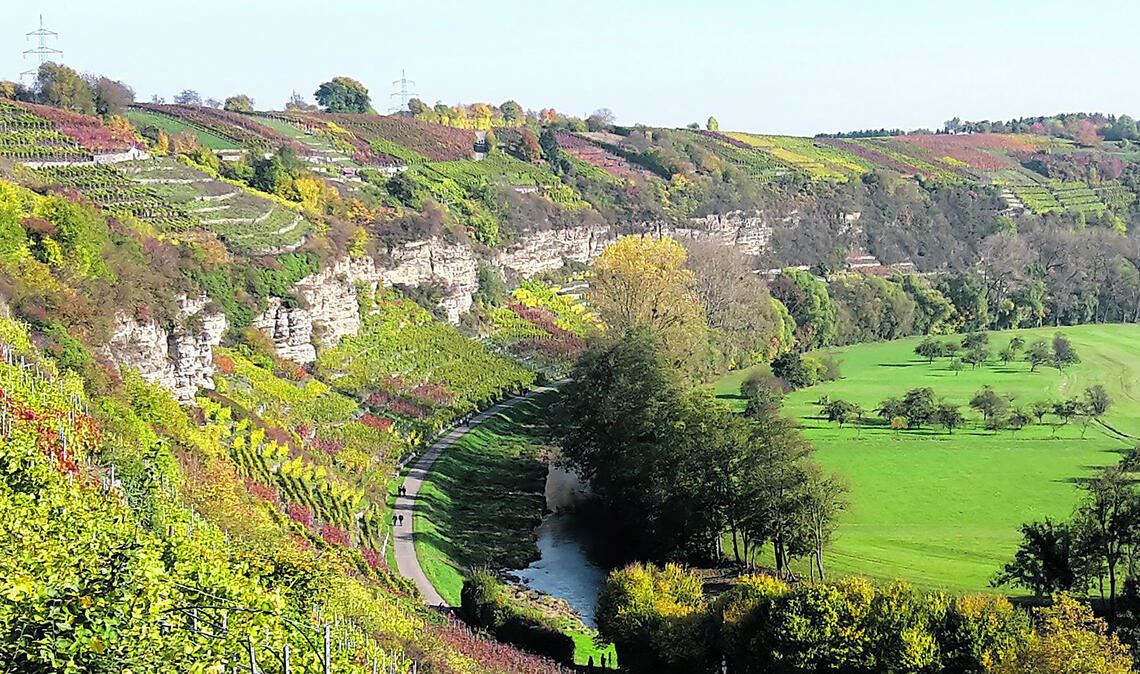 Die „Felsengärten“ oberhalb der Enzschleife in Mühlhausen sind eine traditionelle Lage für den Weinbau – und ein Naturschutzgebiet höchster Güte. Symbolfoto: Archiv