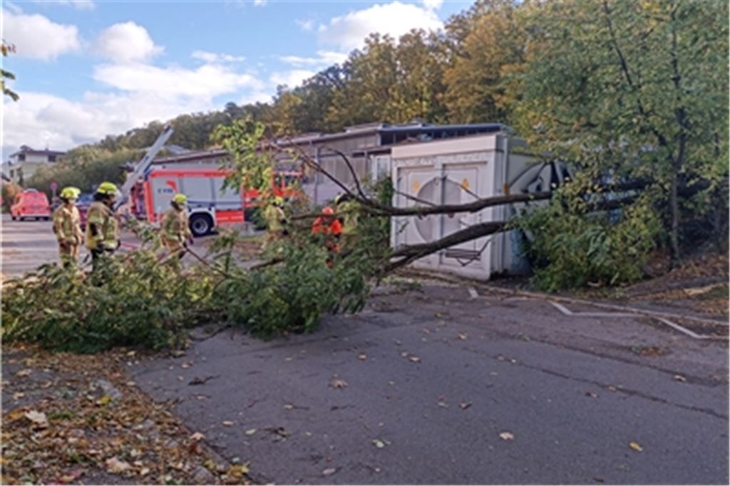 Die Feuerwehr Mühlacker muss ein Baum beseitigen, der den Verkehr im Kißlingweg blockiert. Foto: Deeg 
