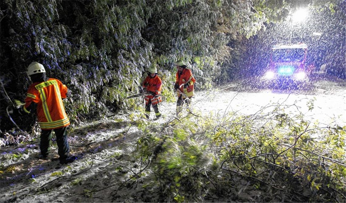 Die Feuerwehr Wiernsheim befreit bei Schneegestöber eine Fahrbahn von Ästen. 