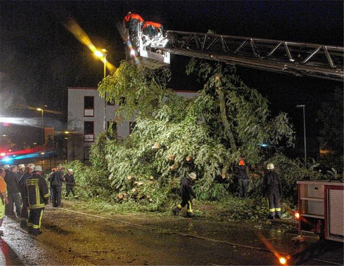 Die Feuerwehr beseitigt die Trauerweide, die auf die Habermehlstraße gefallen ist. 