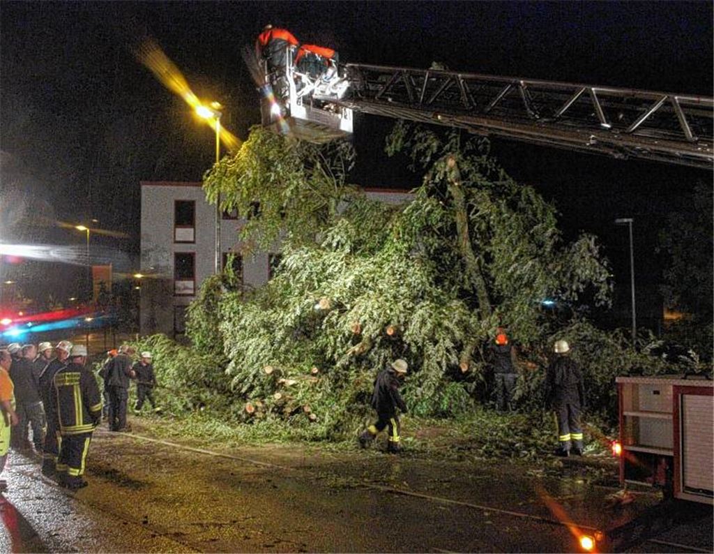 Die Feuerwehr beseitigt die Trauerweide, die auf die Habermehlstraße gefallen ist. 
