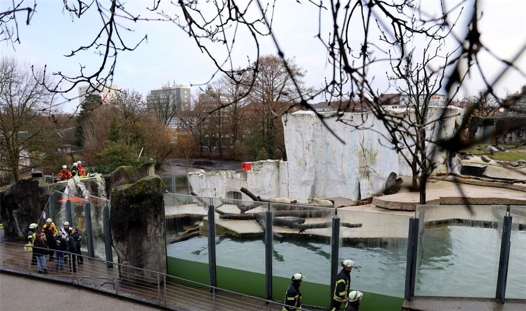 Die Feuerwehr im Einsatz im Karlsruher Zoo.