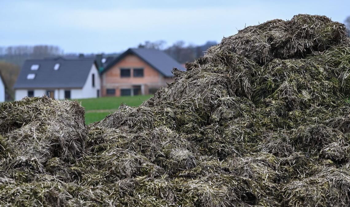 Die Flucht endete in einem Misthaufen (Symbolbild).