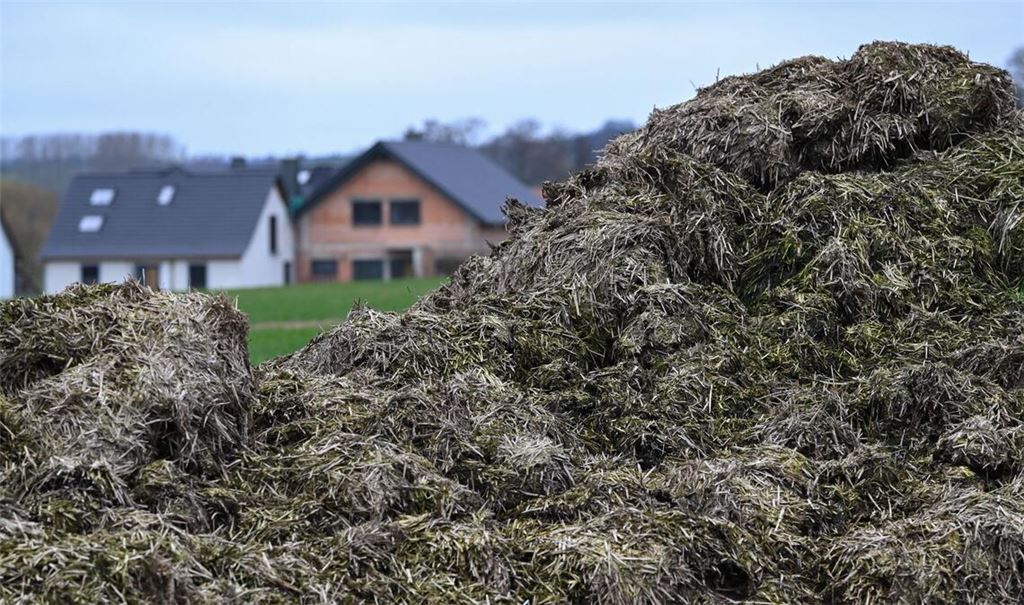 Die Flucht endete in einem Misthaufen (Symbolbild).