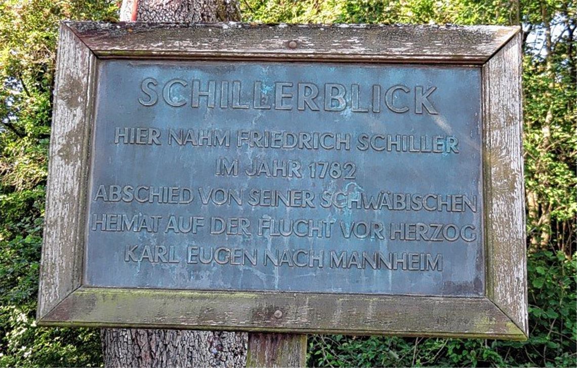 Wehmütiger Blick