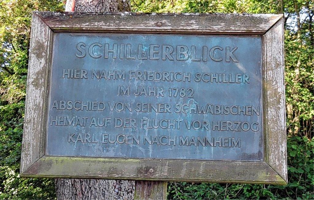 Wehmütiger Blick