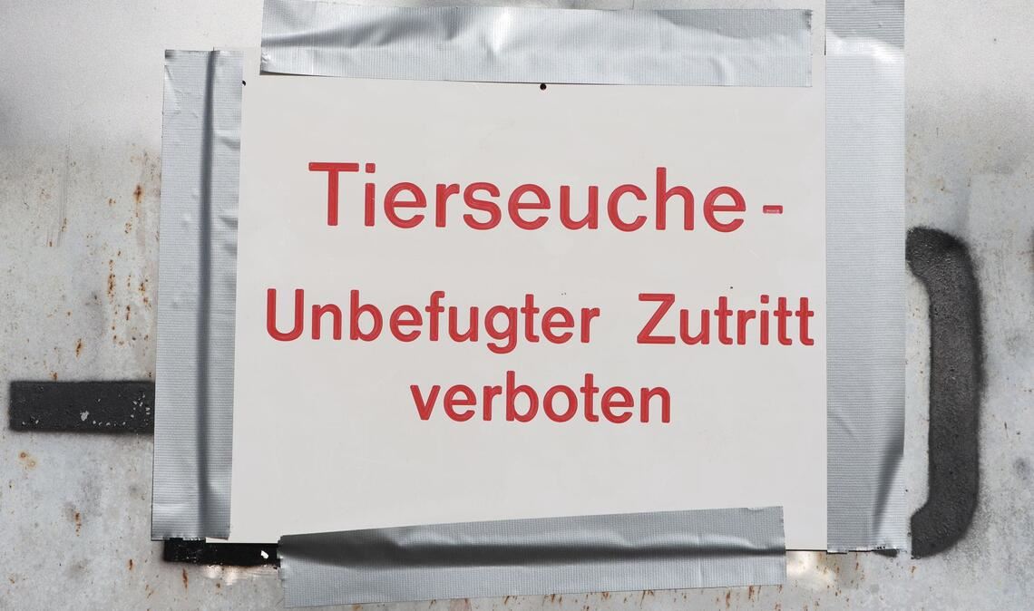 Die Geflügelpest versetzt Behörden und Landwirte in Alarmbereitschaft. (Archibbild)