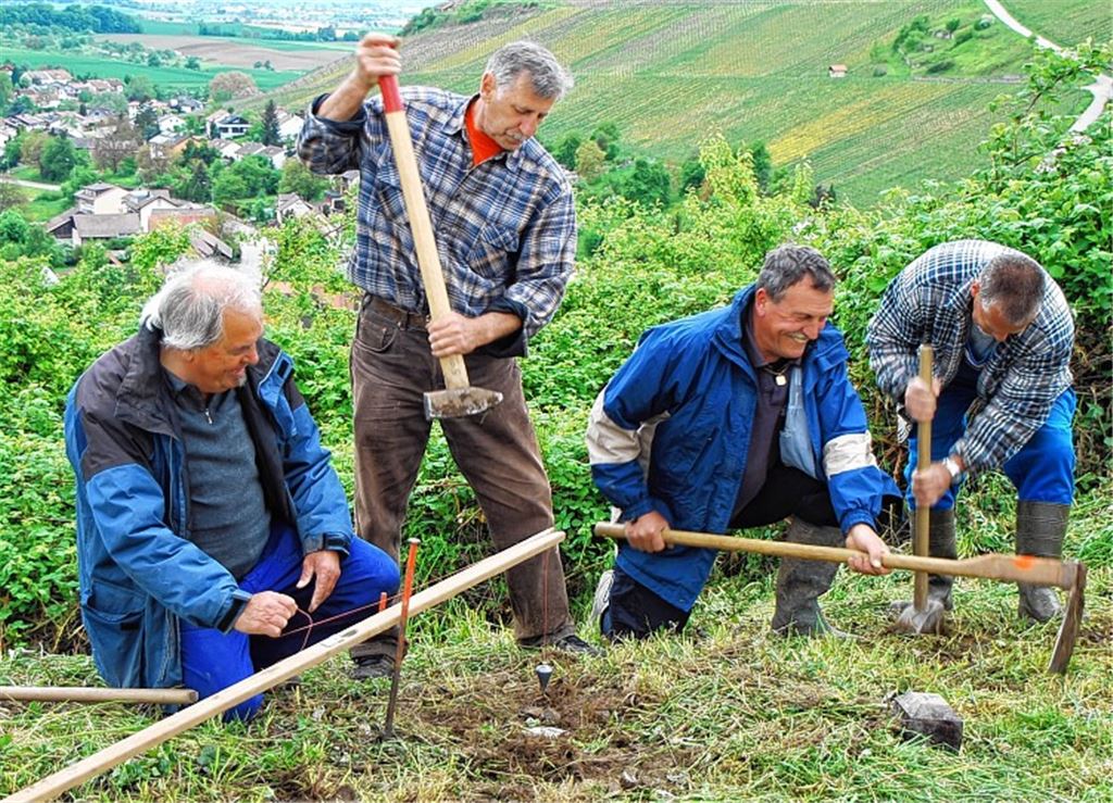 Die Grenzsteine müssen genau und unverrückbar im Boden sitzen, und das bedeutet einen Kraftakt für (v. li.) Werner Knödler, Leo Helfrich, Guido Aisenbrey und Peter Wimmer.