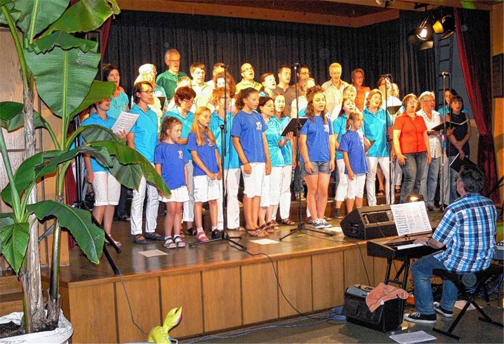 Die Harmonie, hier ein Bild vom Sommerkonzert 2013, feiert ihren Dirigenten.