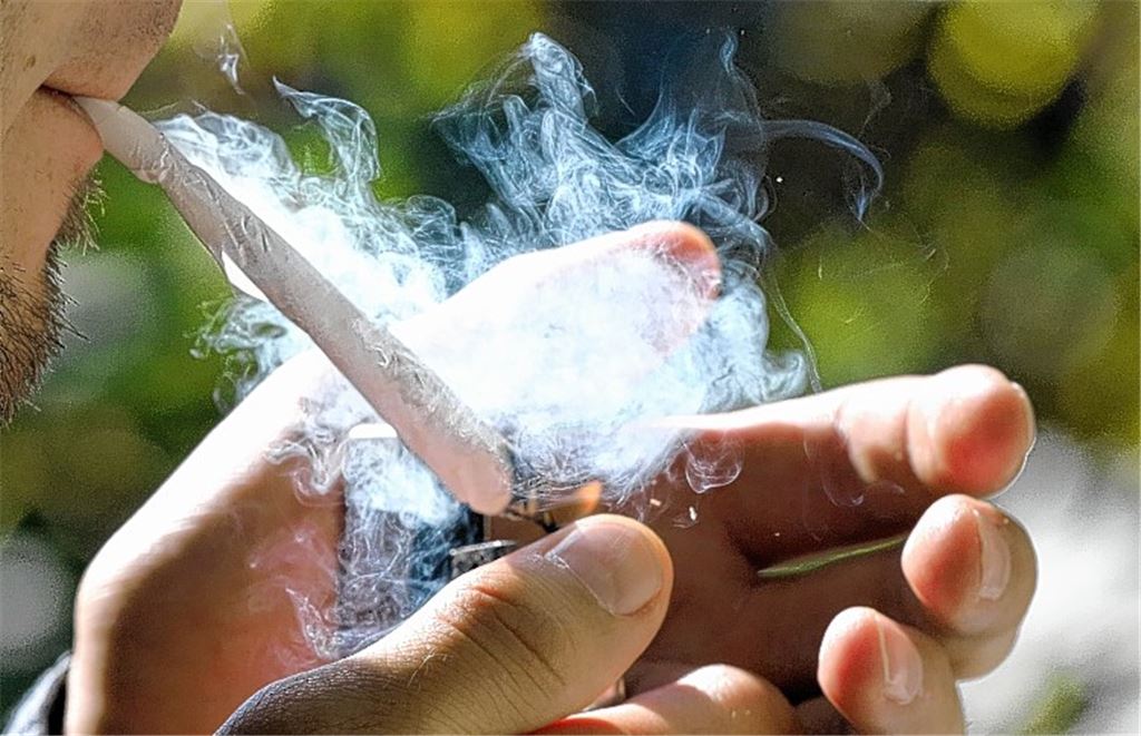 Kein Hasch-Alarm an Mühlacker Schulen