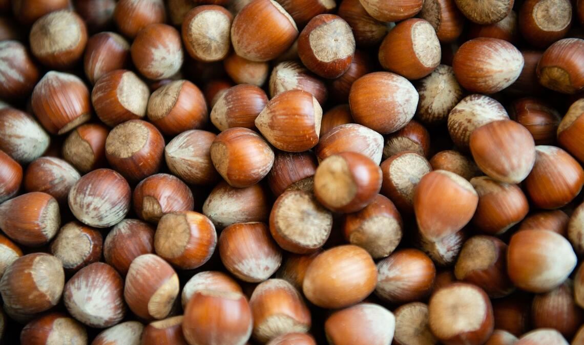 Die Haselsnussernte ist in Italien so schlecht ausgefallen wie seit Jahrzehnten nicht mehr. (Archivbild)