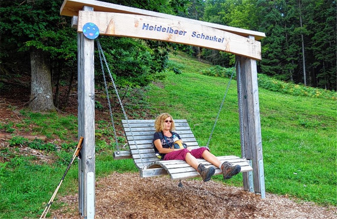 Heidelbeerweg: ein neuer Genießerpfad