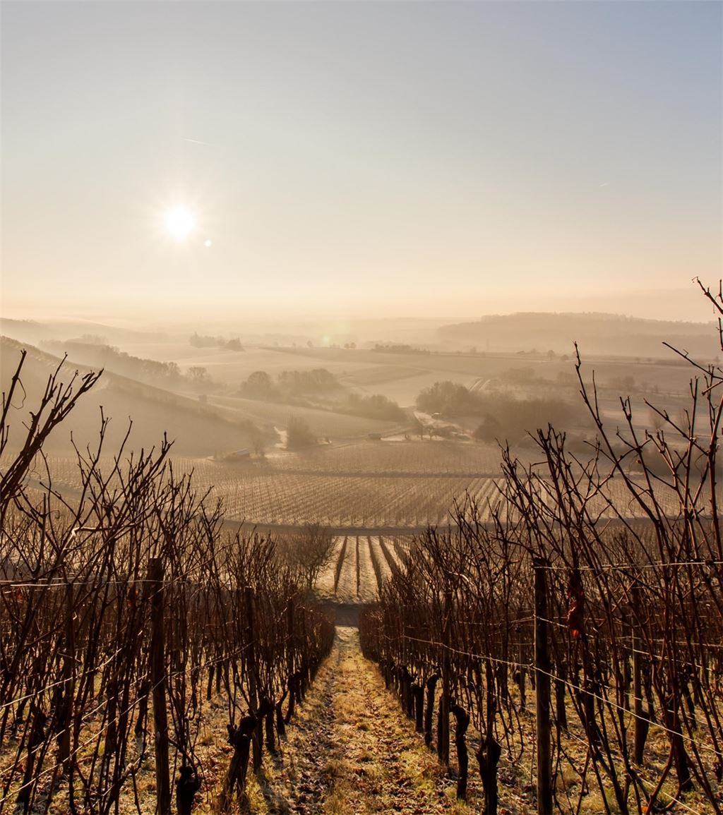 Die Heimatregion hat für Wanderer und Ausflügler auch in der kalten Jahreszeit reizvolle Aussichten und Eindrücke zu bieten.© Kraichgau-Stromberg Tourismus e. V./Carsten Götze