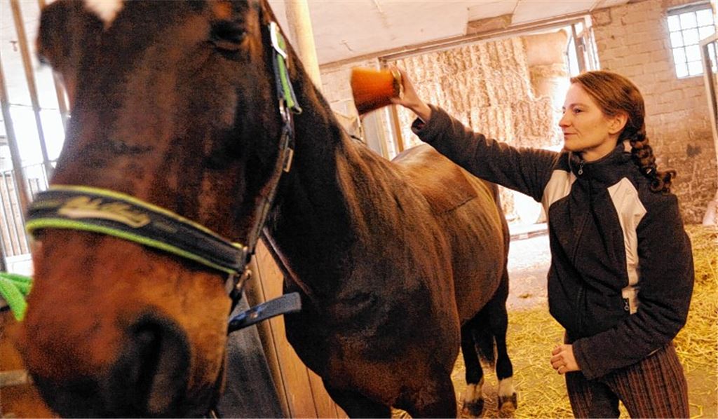 Keine Angst vor hohen Tieren