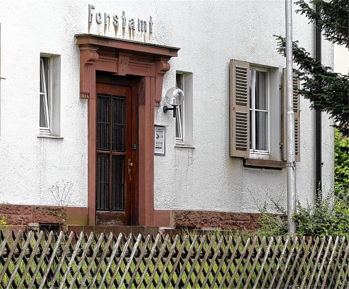 Wiernsheim kämpft um Jugendpfleger