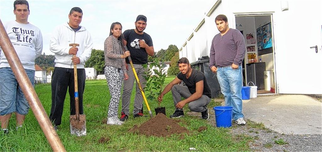 Die Jugendlichen und jungen Erwachsenen legen sich ins Zeug, um ihrem Treffpunkt zu einem blühenden Eingangsbereich zu verhelfen.