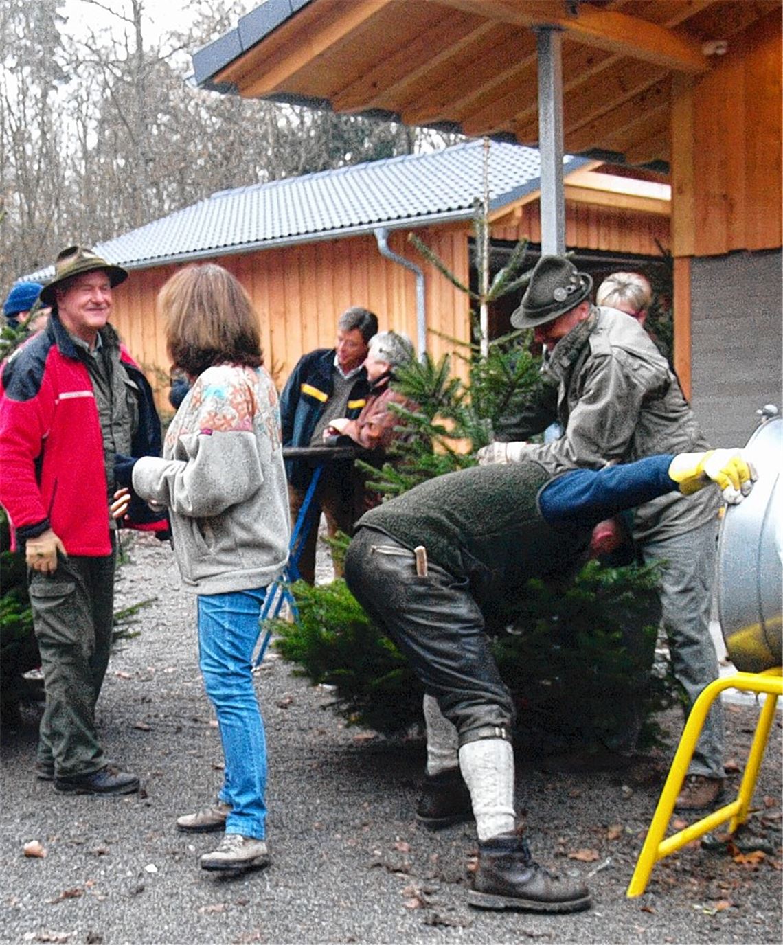 Auf der Pirsch nach dem schönsten Baum