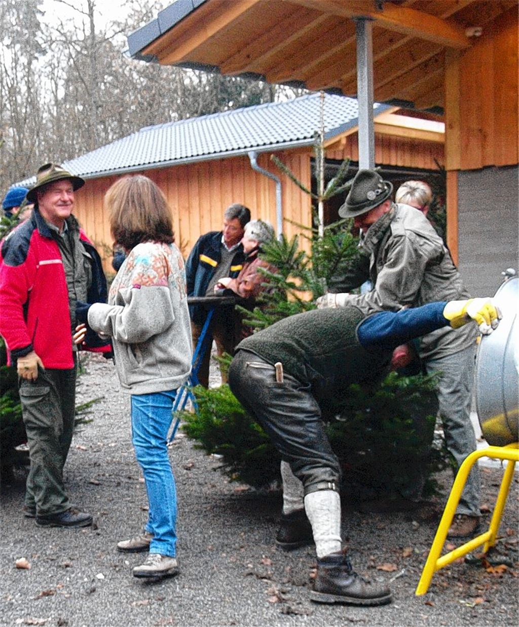 Auf der Pirsch nach dem schönsten Baum