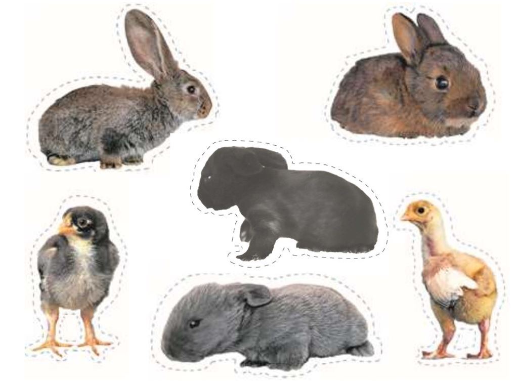 ostern