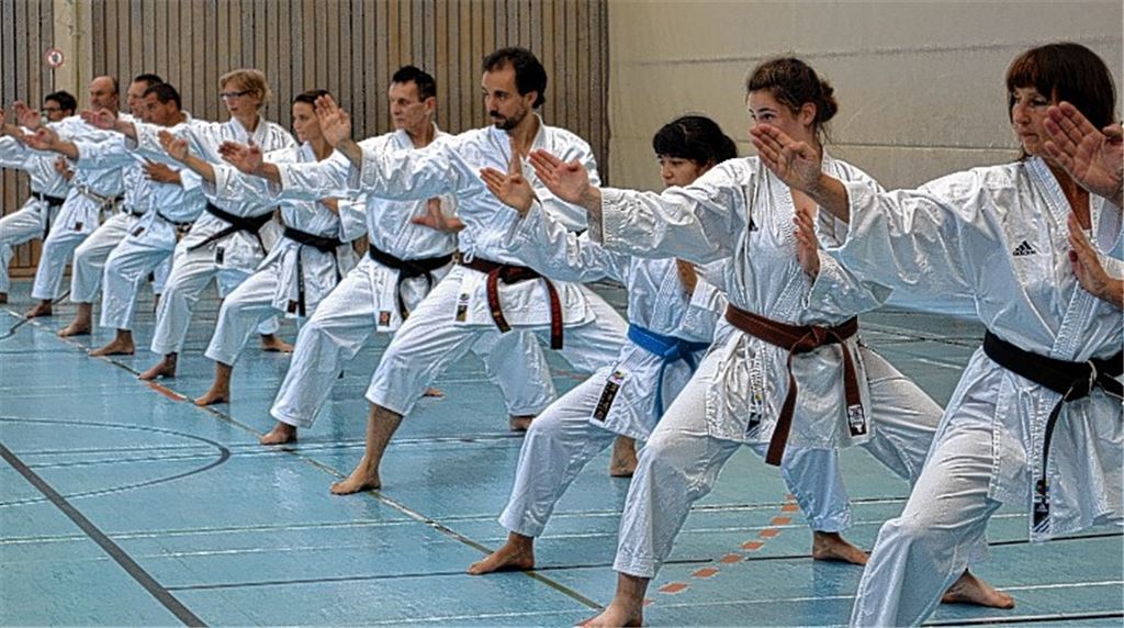 Immer wieder Aha-Momente