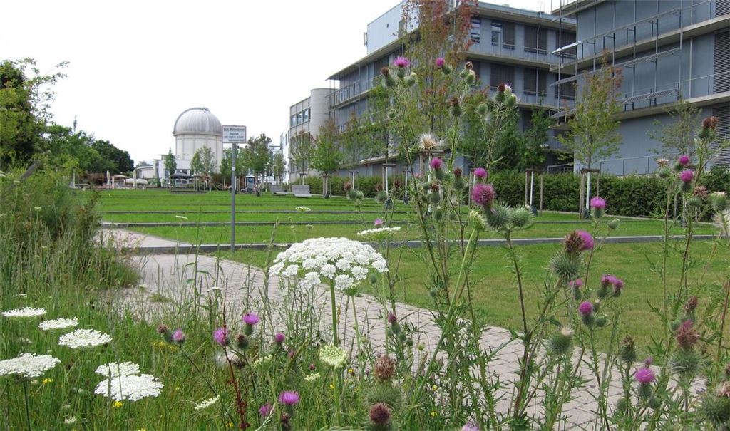 Die Keimzelle des Technologieparks Tübingen-Reutlingen am Standort Tübingen: Sternwarte mit dem Planetenpark und dem Biotechnologiezentrum mit den Mietern Curevac, Immatics und Synovo.